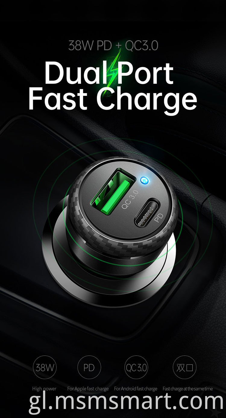 Quick Battery Car Charger